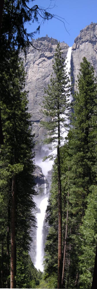 Yosemite Falls Picture